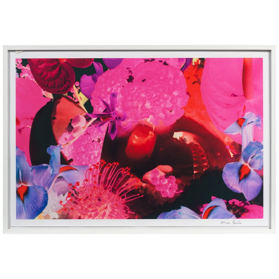 Marc Quinn (British, born 1964) At the Far Edge of the Universe 08 Pigment print, 2010, on wove ... - 2