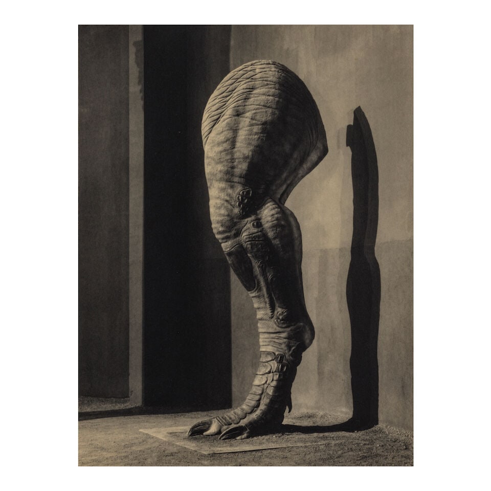 Joan Fontcuberta (born 1955); 'Tyrannosaurus' Leg' (from 'Science & Fiction');: Joan Fontcuberta (born 1955) 'Tyrannosaurus' Leg' (from 'Science & Fiction'), 1989 Gelatin silver print, printed 1990; signed, titled, dated, annotated 'Barcelona', and editioned '30/50' in pencil on