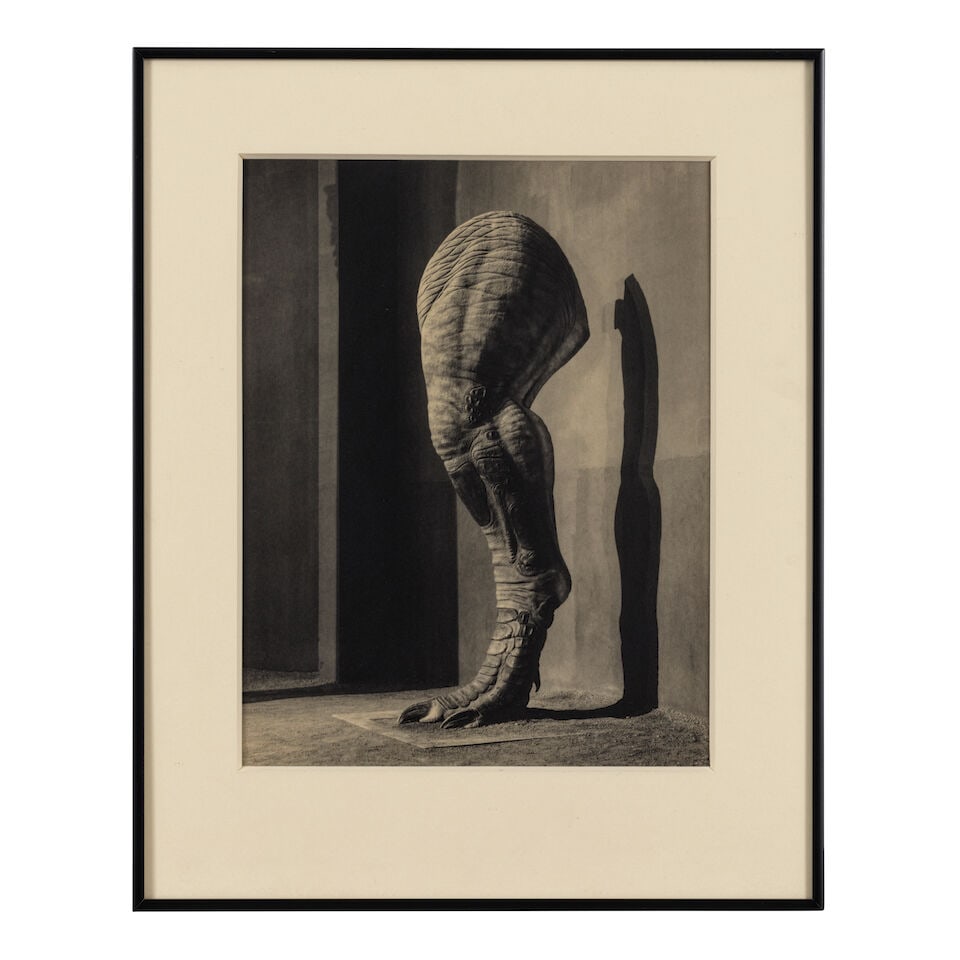 Joan Fontcuberta (born 1955); 'Tyrannosaurus' Leg' (from 'Science & Fiction'); - 2