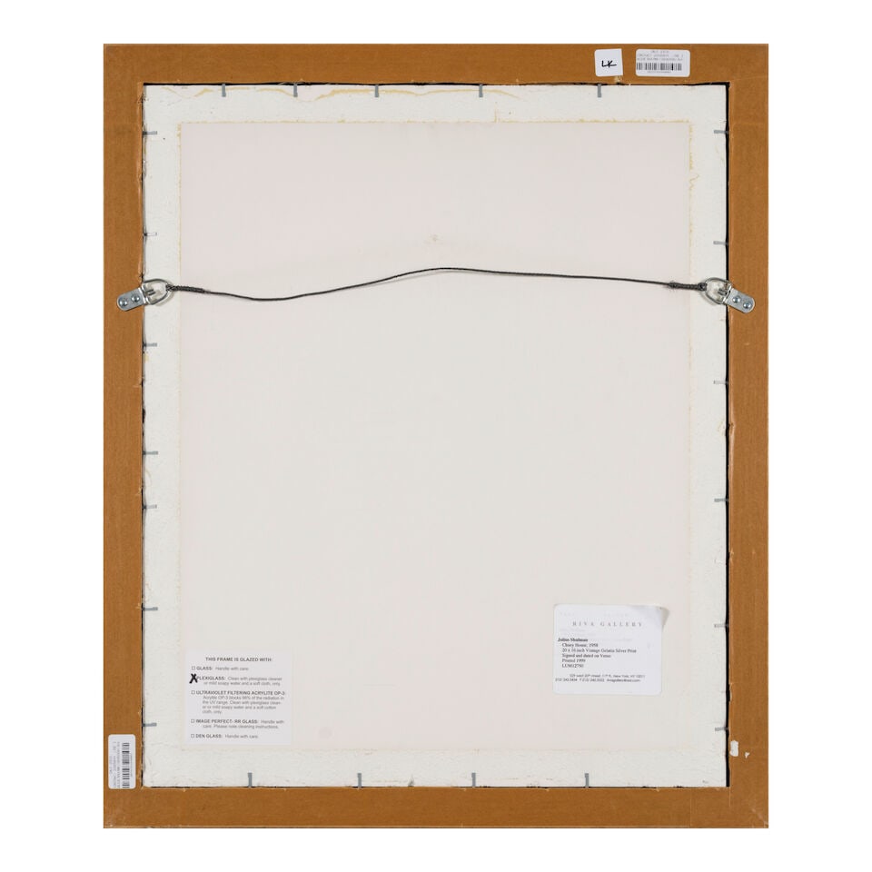 Julius Shulman (1910-2009); Chuey House, Los Angeles, California (Richard Neutra, Architect, 1956); - 3