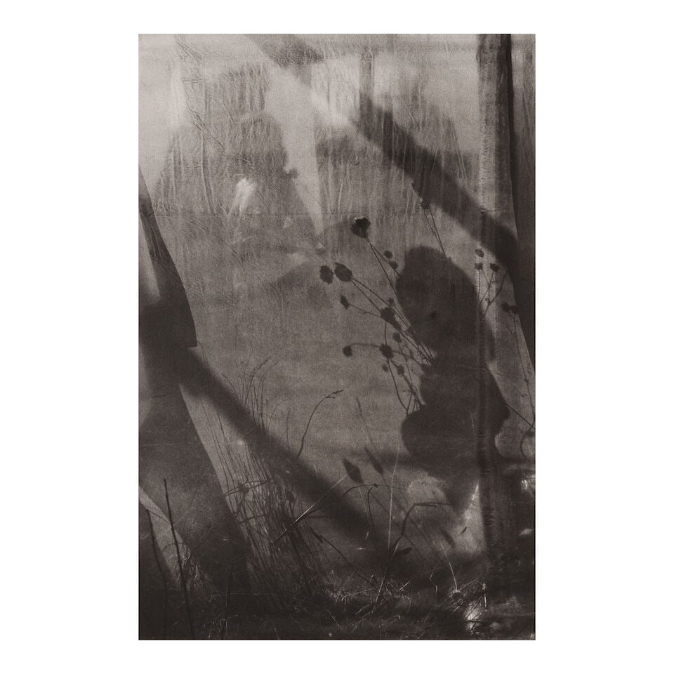 Lucien Clergue (1934-2014); Selected Images from 'Caco au Grand Herbier'; - 10