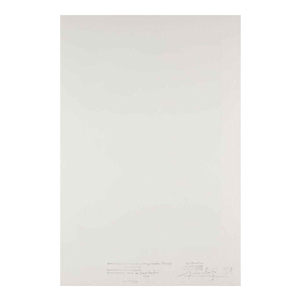 Lucien Clergue (1934-2014); Selected Images from 'Caco au Grand Herbier'; - 11