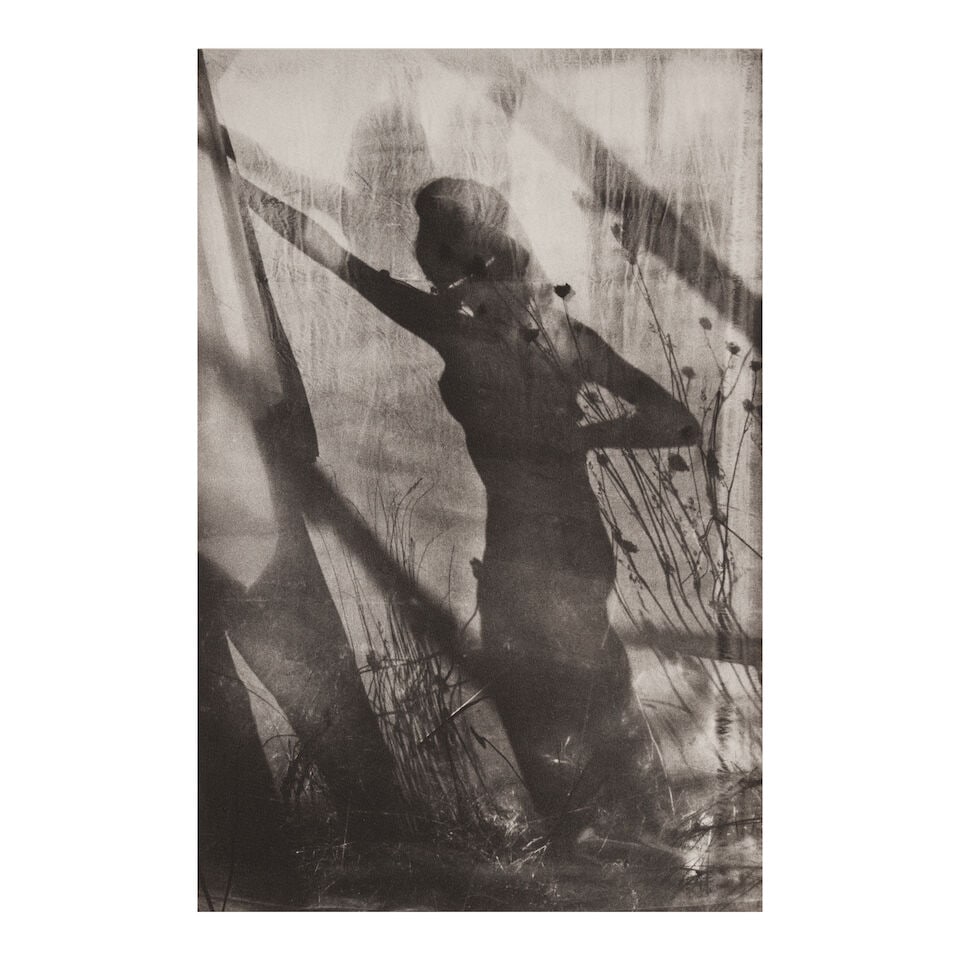 Lucien Clergue (1934-2014); Selected Images from 'Caco au Grand Herbier'; - 2