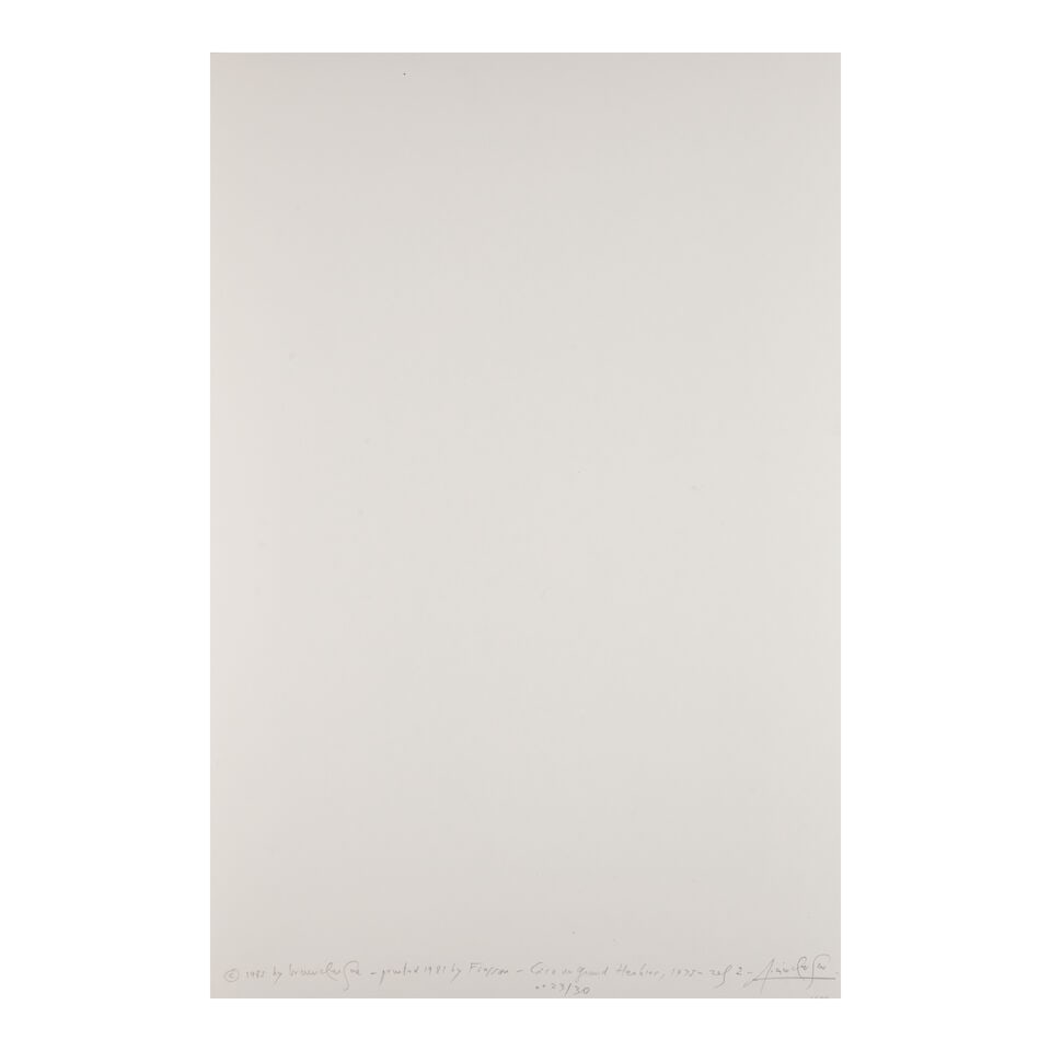 Lucien Clergue (1934-2014); Selected Images from 'Caco au Grand Herbier'; - 3