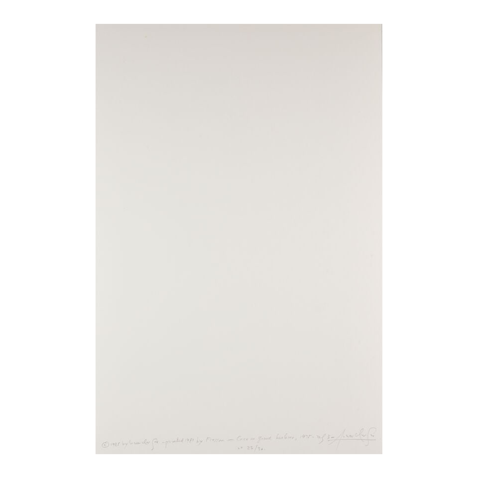 Lucien Clergue (1934-2014); Selected Images from 'Caco au Grand Herbier'; - 5