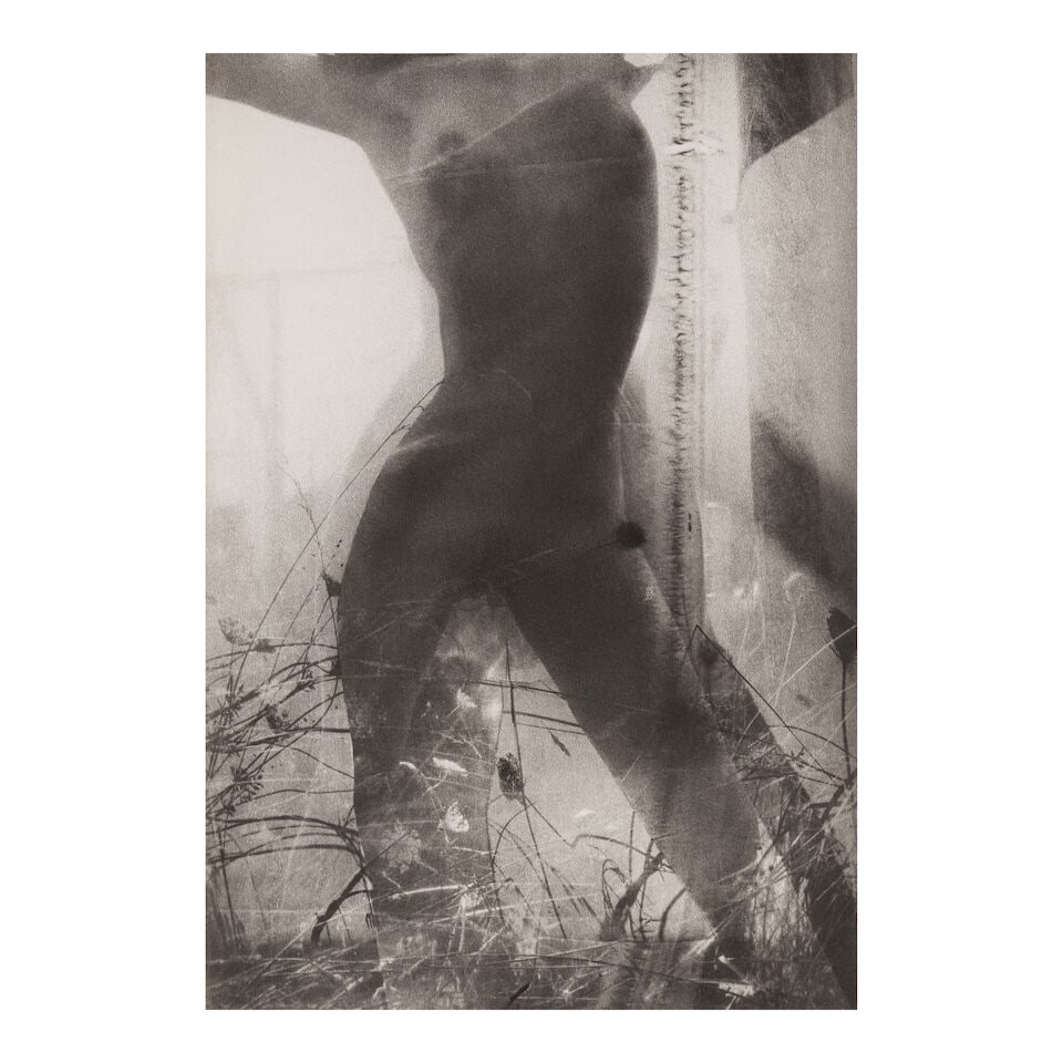 Lucien Clergue (1934-2014); Selected Images from 'Caco au Grand Herbier'; - 6