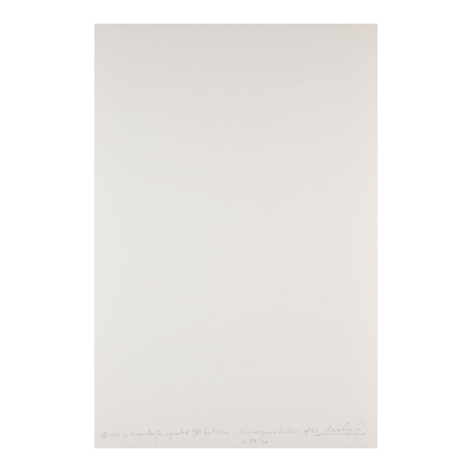 Lucien Clergue (1934-2014); Selected Images from 'Caco au Grand Herbier'; - 7