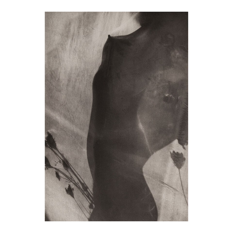 Lucien Clergue (1934-2014); Selected Images from 'Caco au Grand Herbier'; - 8