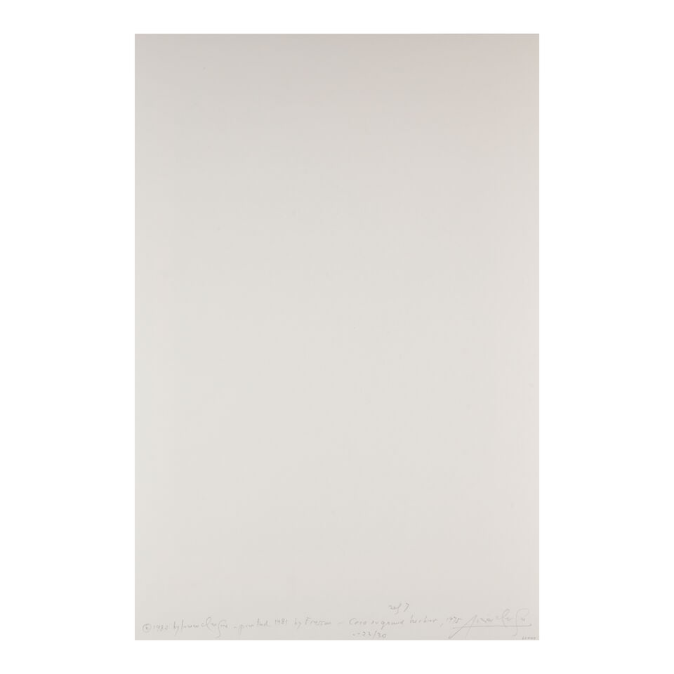 Lucien Clergue (1934-2014); Selected Images from 'Caco au Grand Herbier'; - 9