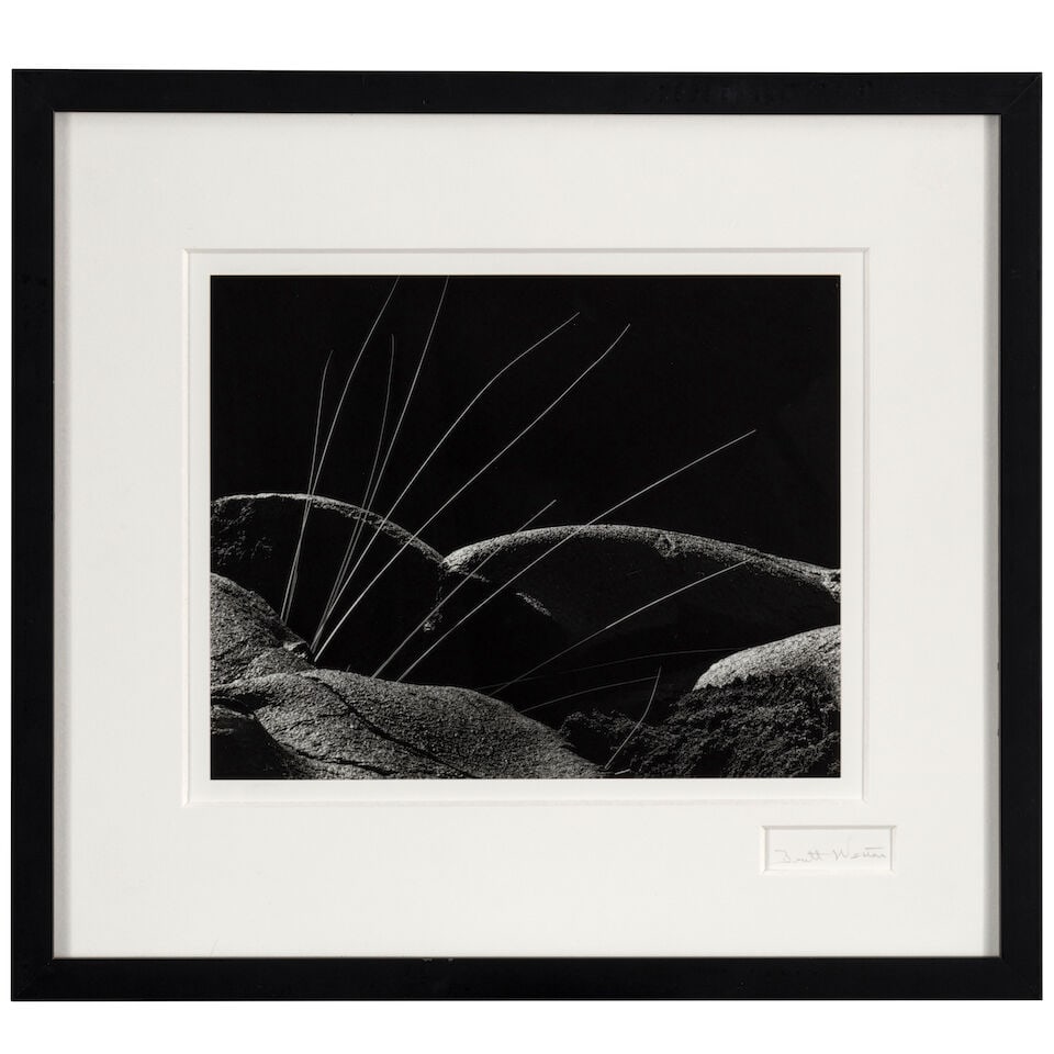 Brett Weston (1911-1993); Grass and Lava; - 2