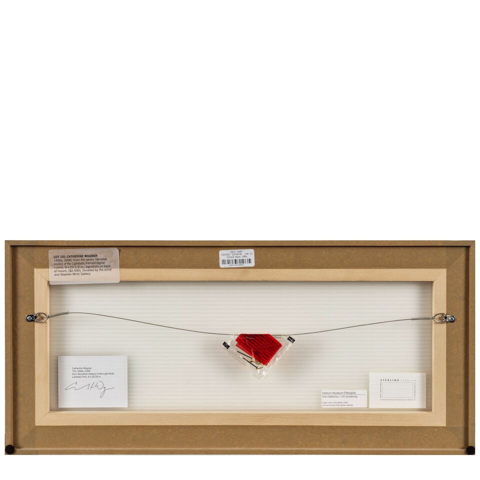 Catherine Wagner (born 1953); The 1890s (from 'A Narrative History of the Light Bulb'); - 3