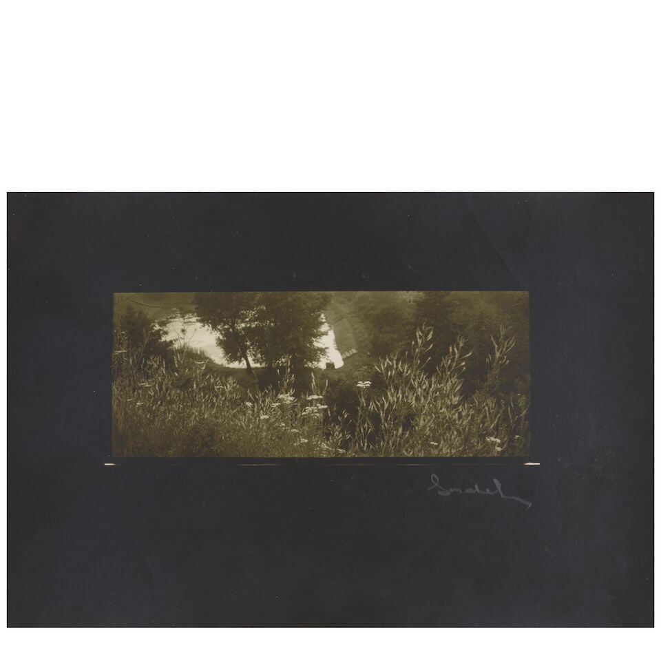 Josef Sudek (1896-1976); Untitled (Landscape); - 2