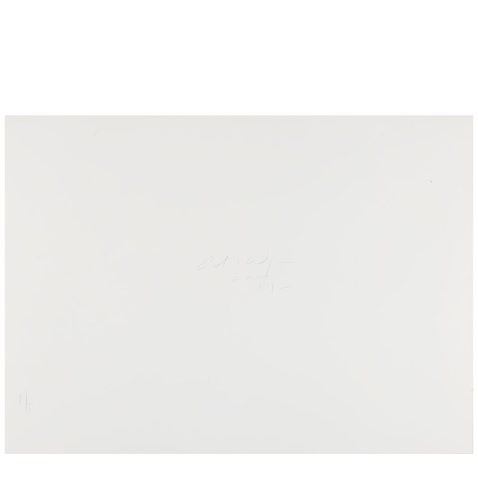 Catherine Wagner (born 1953); 'Sea Ascidian' (1) (from 'Cross Sections'); - 2