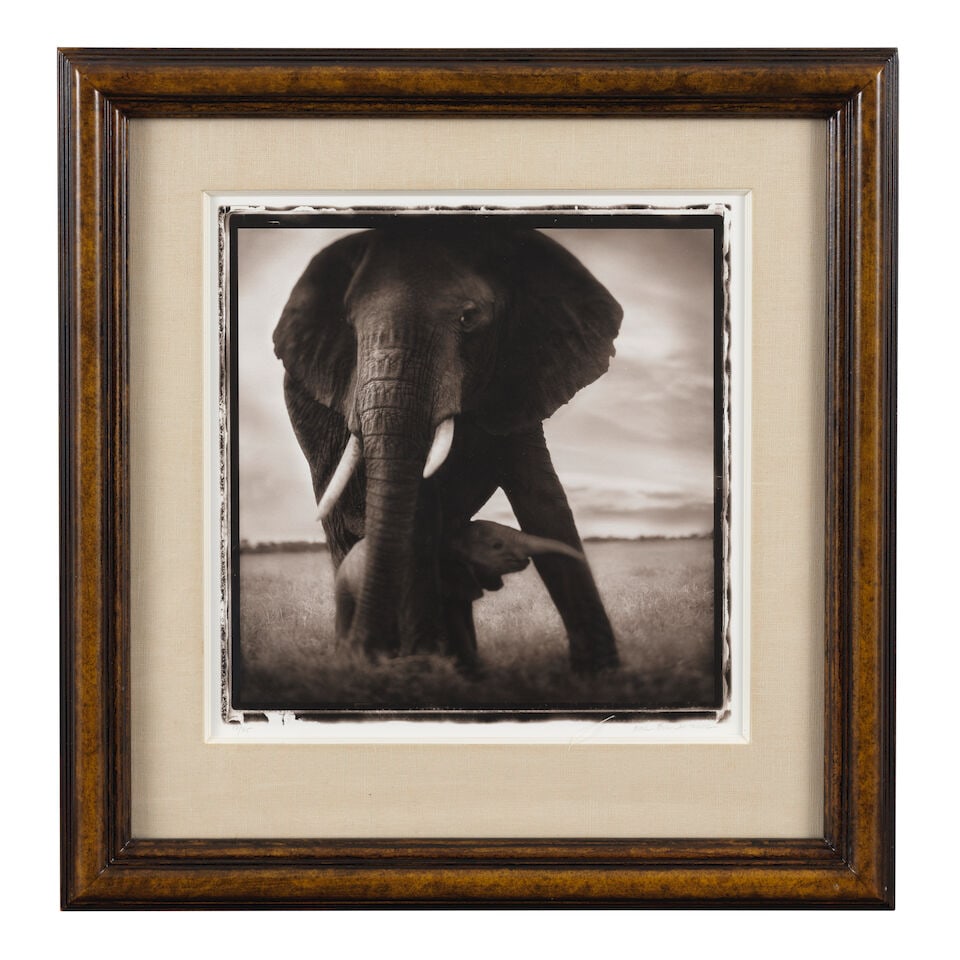 Nick Brandt (born 1964); Mother Elephant and Baby, Serengeti (from 'On This Earth'); - 2