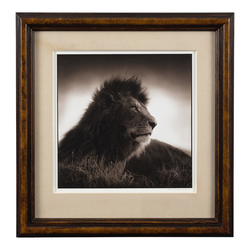 Nick Brandt (born 1964); Portrait of a Lion (from 'On This Earth'); - 2