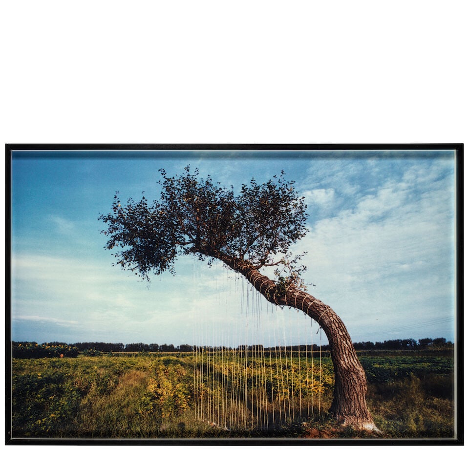 Yin Xiuzhen (born 1963); Tree Harp; - 2