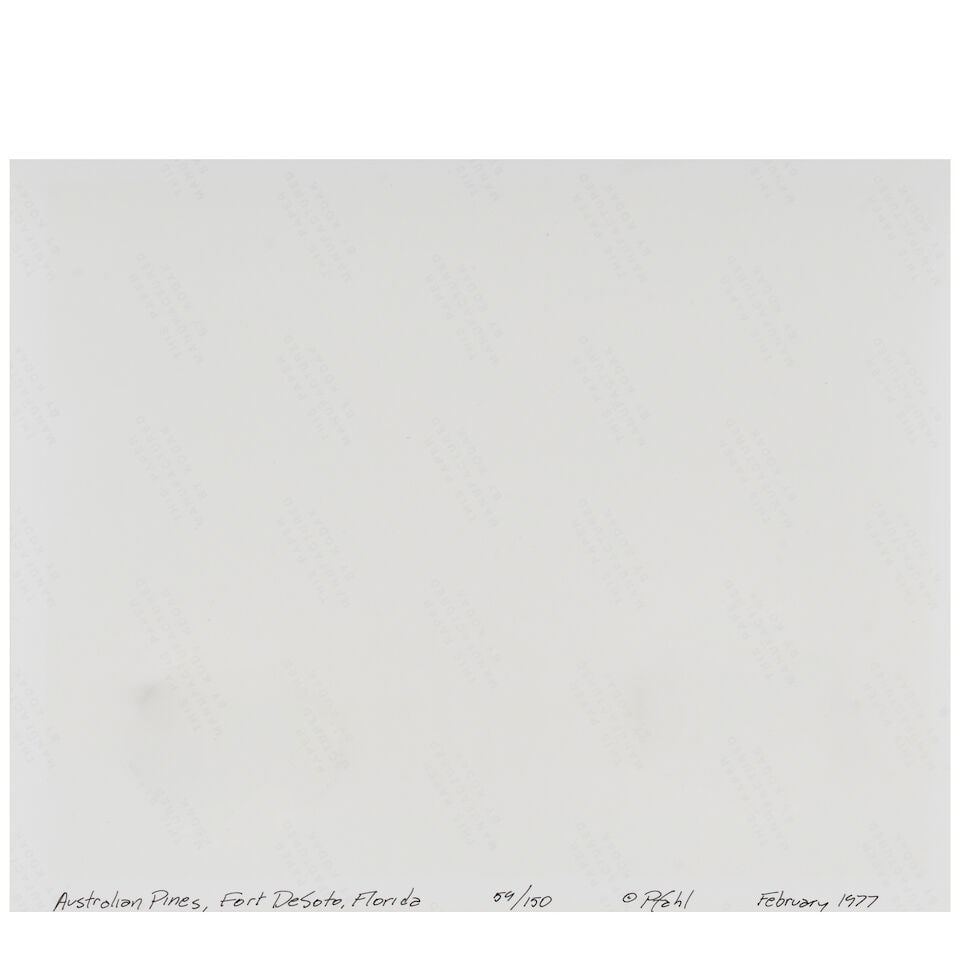 John Pfahl (1939-2020); 'Australian Pines, Fort DeSoto, Florida'; - 2
