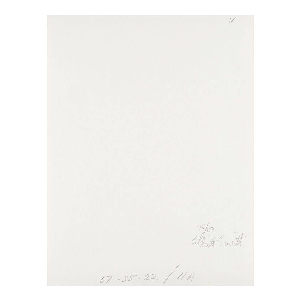 Elliott Erwitt (1928-2023); Tehran (Inspecting Guards); - 2