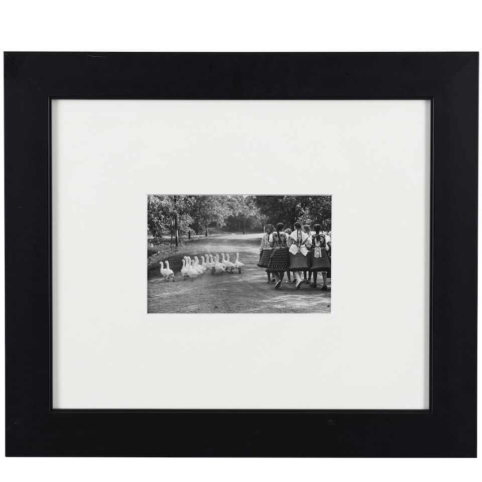 Elliott Erwitt (1928-2023); Hungary (Geese); - 2