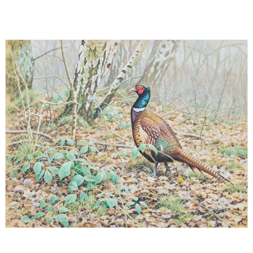 Simon Barlow (South African, 20th/21st Century) A cock pheasant (1 of 3)