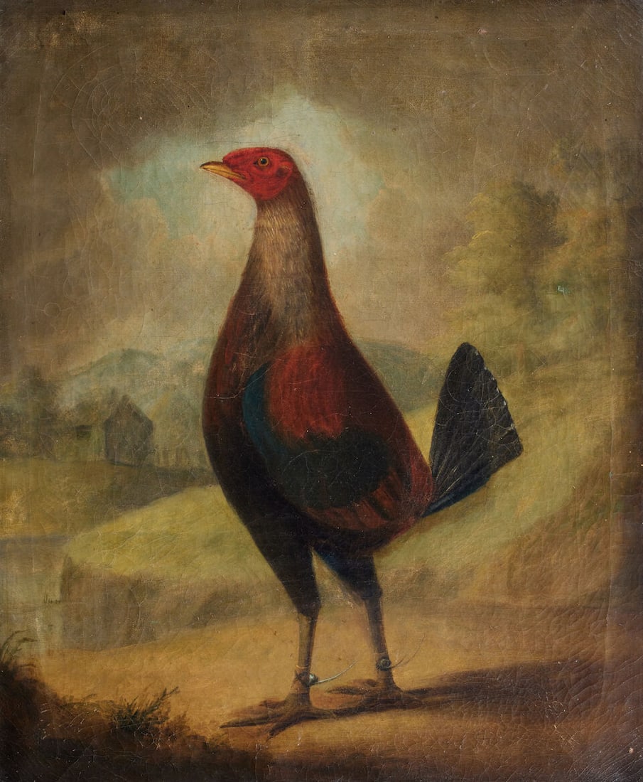 English School, Early 19th Century A fighting cock (1 of 3)