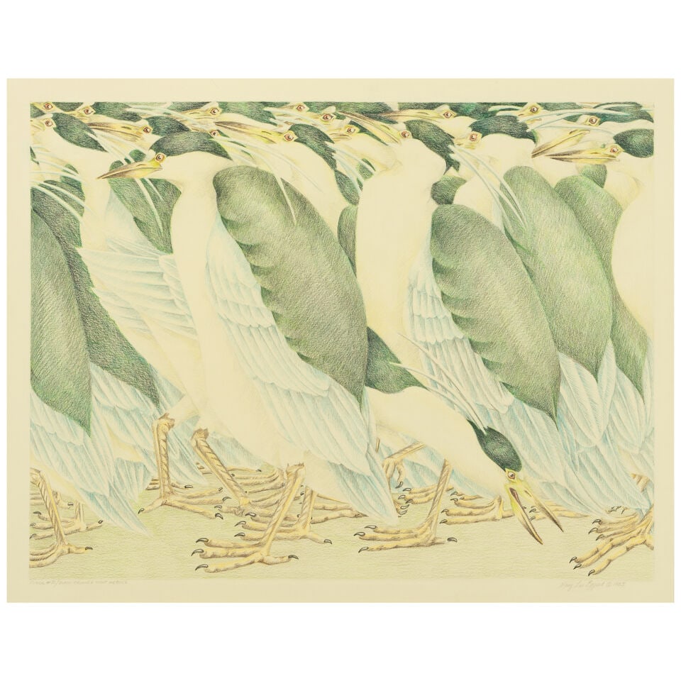Mary Lee Eggart (1928-2010) Flock #31 / Black-Crowned Night Herons image 19 1/2 x 26 in.: Mary Lee Eggart (1928-2010) Flock #31 / Black-Crowned Night Herons signed and dated 'Mary Lee Eggart © 1983' (lower right) and titled (in the margin lower left) colored pencil on paper image