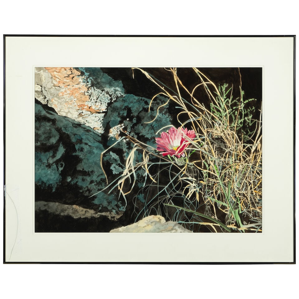Herb Rather (1930-2015) Devil's Head Cactus sight 21 1/4 x 29 1/4 in. - 2