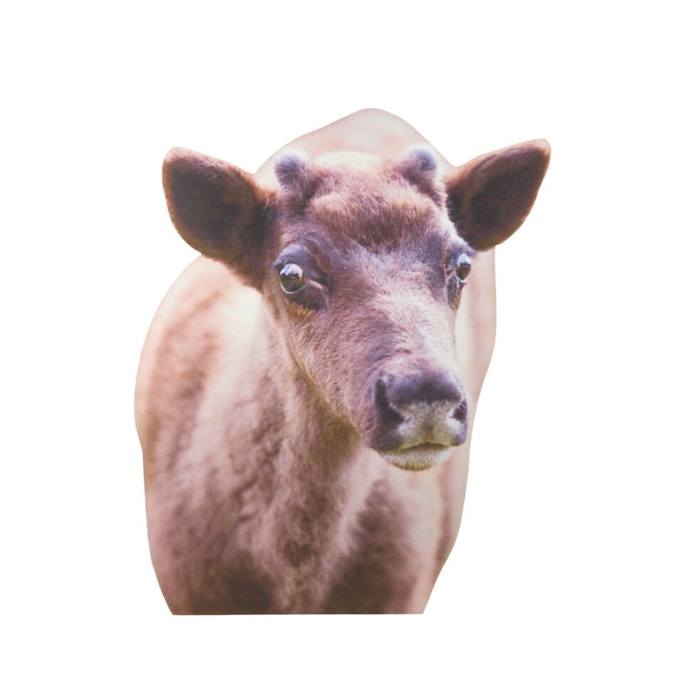 KATJA NOVITSKOVA (B. 1984) Approximation IX (Calf) (Executed in 2013) (1 of 2)