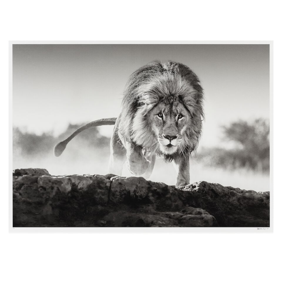 DAVID YARROW (B. 1966) Relentless (Executed in 2017, this work is number 10 from an edition of 12) (1 of 3)