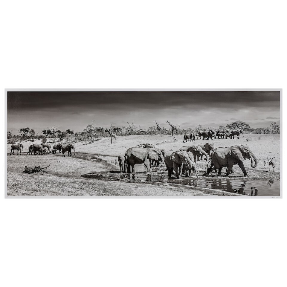 DAVID YARROW (B. 1966) Before Man (Executed in 2019, this work is number 2 from an edition of 12): DAVID YARROW (B. 1966) Before Man numbered '2/12' (lower left) and signed and dated 'David Yarrow August 2019' (lower right) archival pigment print Image size: 94 x 246.4cm (37 x 97in). Executed in 20
