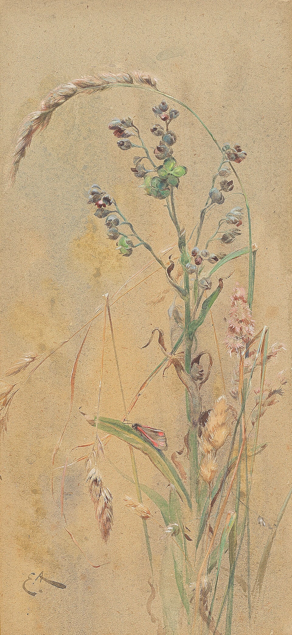 Edwin John Alexander, RSA, RSW, RWS (British, 1870-1926) Butterfly and grasses - 2