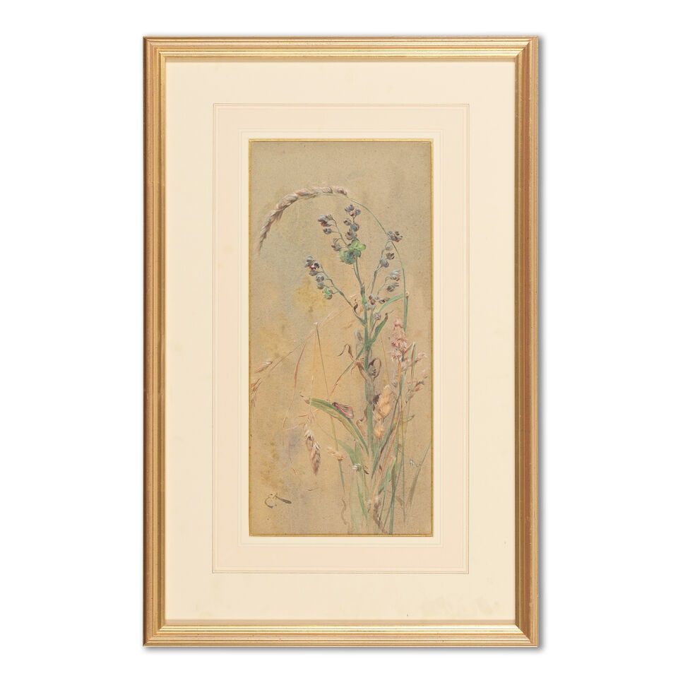 Edwin John Alexander, RSA, RSW, RWS (British, 1870-1926) Butterfly and grasses - 3