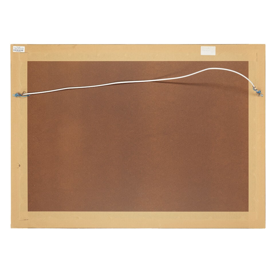 John Cyril Harrison (British, 1898-1985) Pink footed geese landing - 3