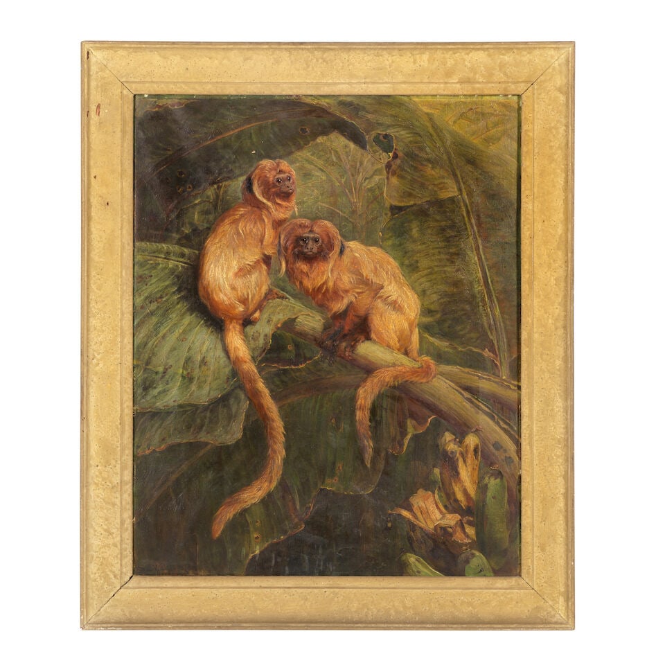 Samuel Edmund Waller (British, 1850-1903) A pair of golden lion tamarin monkeys on a branch - 2