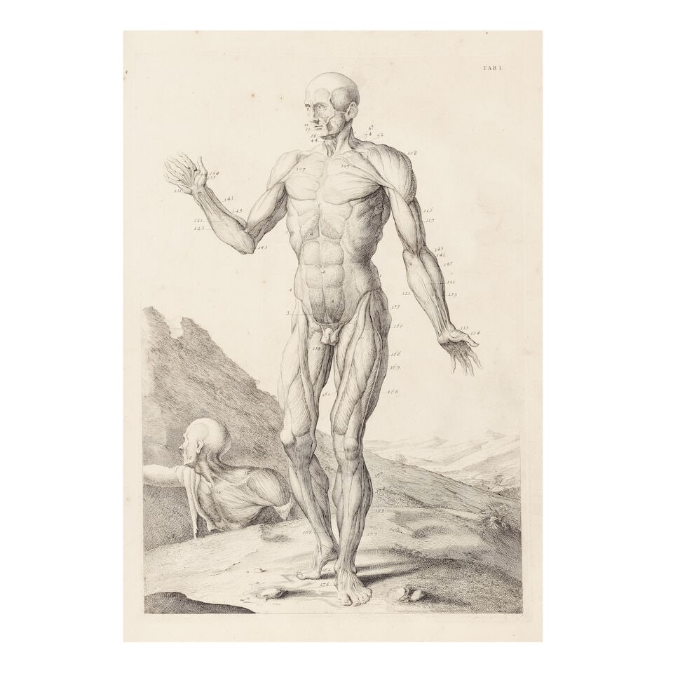 MEDICINE - ANATOMY COWPER (WILLIAM) Myotomia Reformata, or an Anatomical Treatise on the Muscles... (1 of 3)