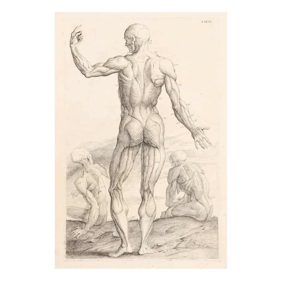MEDICINE - ANATOMY COWPER (WILLIAM) Myotomia Reformata, or an Anatomical Treatise on the Muscles... - 3