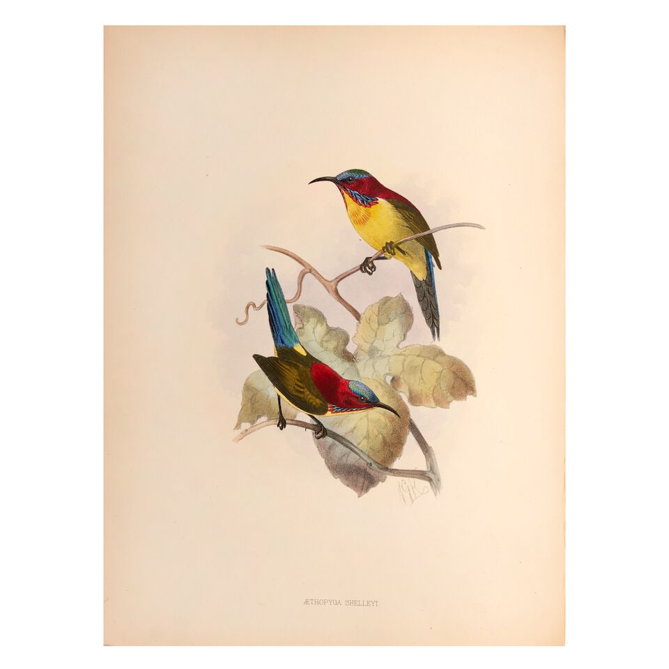 SHELLEY (GEORGE ERNEST) A Monograph of the Nectariniidae or Family of Sun-birds, FIRST EDITION, ... (1 of 3)