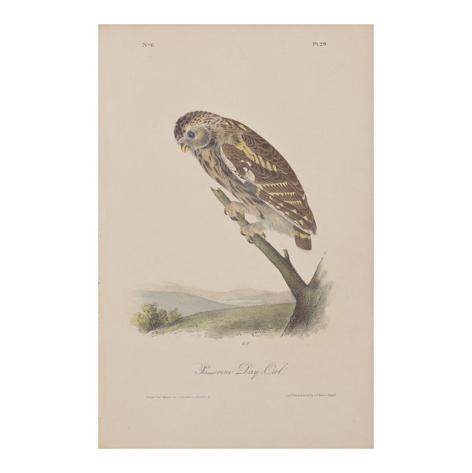 AUDUBON (JOHN JAMES) A collection of 164 ornithological plates from the first octavo issue of 'T... (1 of 6)