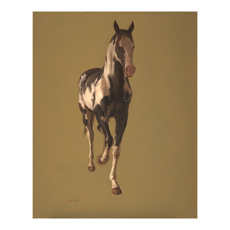CLAUDIO BRAVO (1936-2011) Untitled (Caballo) 31 7/8 x 25 3/4 in (81 x 65.4 cm) (Painted in 1982): CLAUDIO BRAVO (1936-2011) Untitled (Caballo) signed and dated with Roman numerals 'Claudio Bravo MCMLXXXII' (lower left) oil on canvas 31 7/8 x 25 3/4 in (81 x 65.4 cm) Painted in 1982 Footnotes: Prov