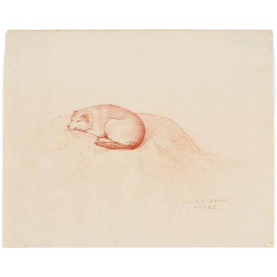 CLAUDIO BRAVO (1936-2011) The Dog 7 x 8 3/4 in (17.8 x 22 cm) (Executed in 1990): CLAUDIO BRAVO (1936-2011) The Dog signed and dated with Roman numerals 'Claudio Bravo MCMXC' (lower right) sanguine on paper 7 x 8 3/4 in (17.8 x 22 cm) Executed in 1990 Footnotes: Provenance Acquired