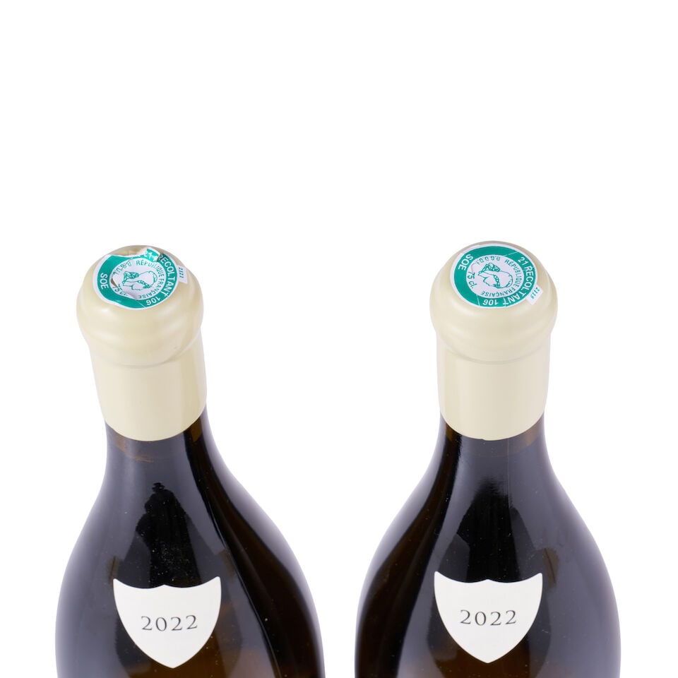 Paul Pillot, Chassagne-Montrachet 1er Cru, Clos Saint Jean, 2022 (2 x 750ml) - 2
