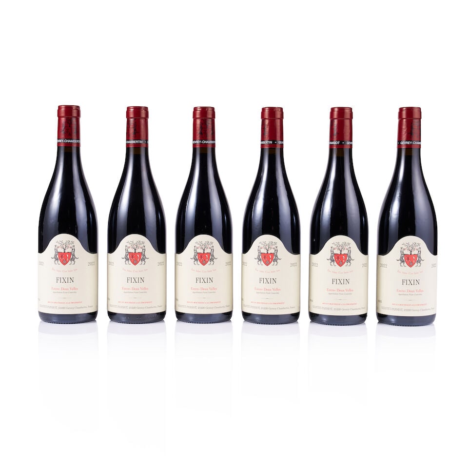 Geantet-Pansiot, Fixin, Entre-Deux Velles, 2022 (24 x 750ml) - 5