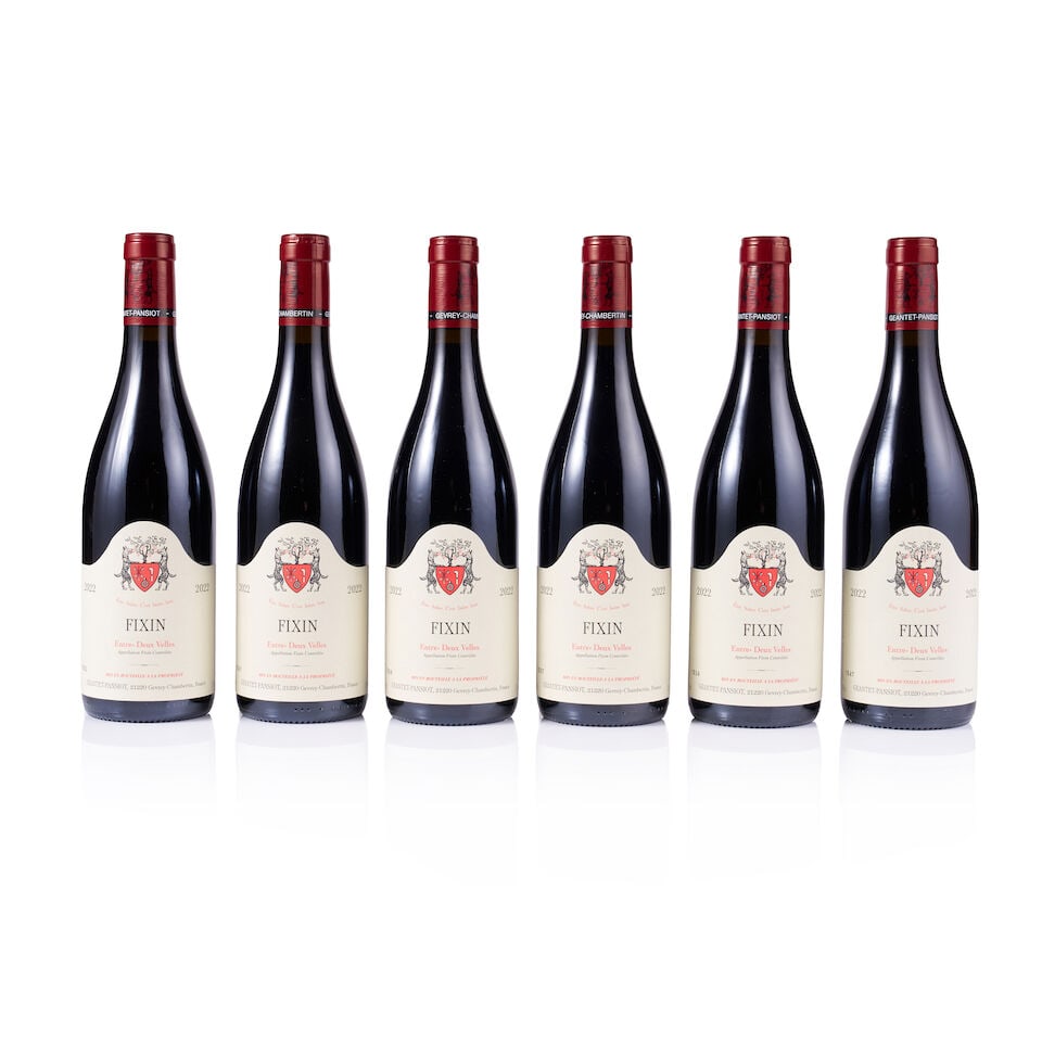 Geantet-Pansiot, Fixin, Entre-Deux Velles, 2022 (24 x 750ml) - 7