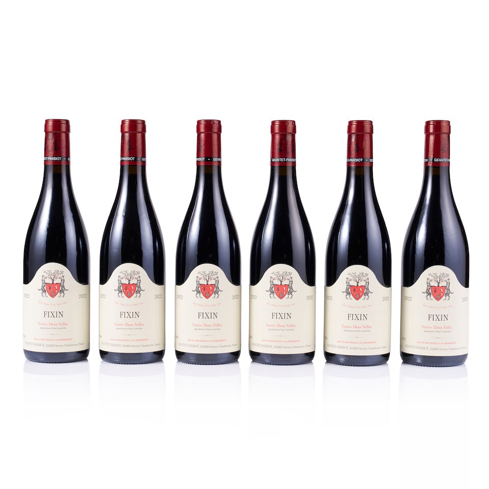 Geantet-Pansiot, Fixin, Entre-Deux Velles, 2022 (24 x 750ml) - 9