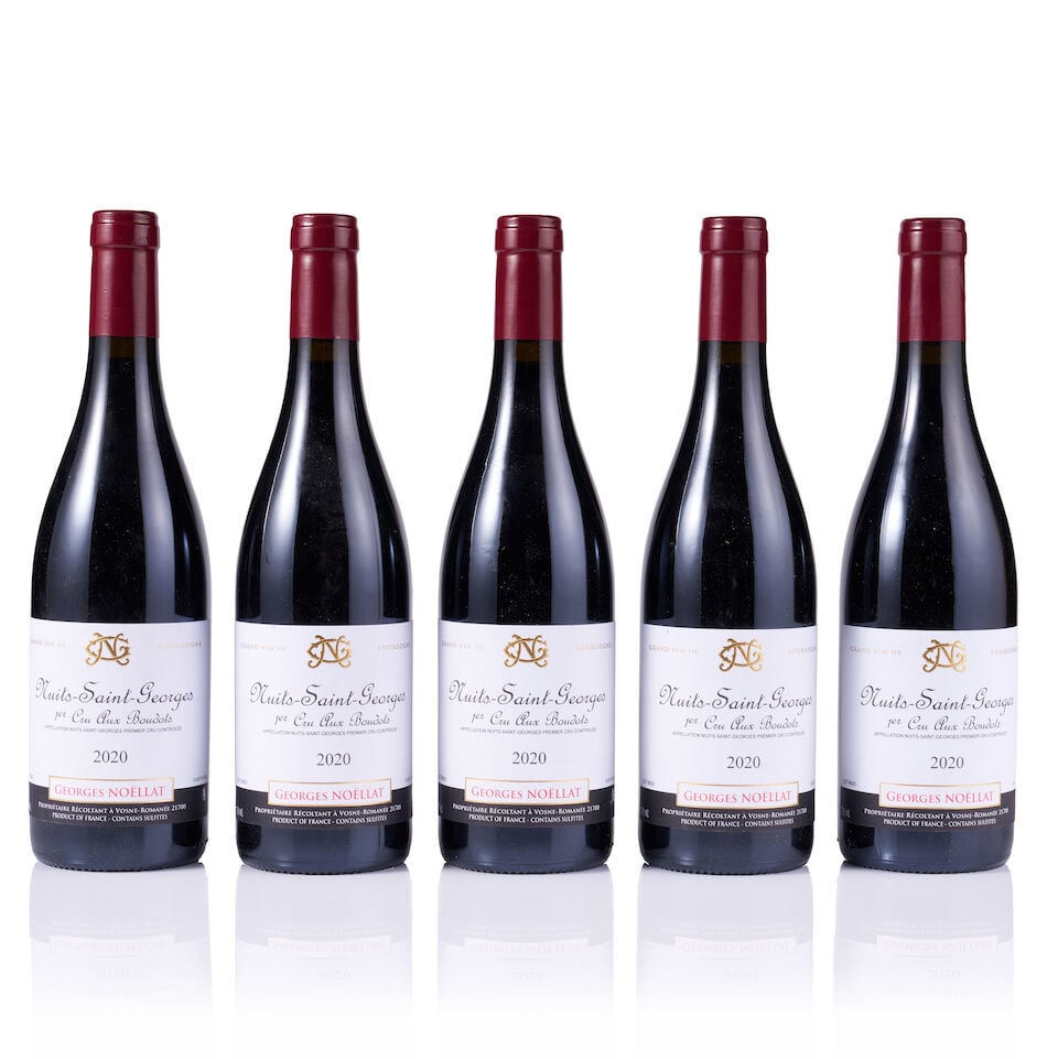 Mixed Lot of Georges Noëllat, 2013 & 2020 (9 x 750ml) - 5