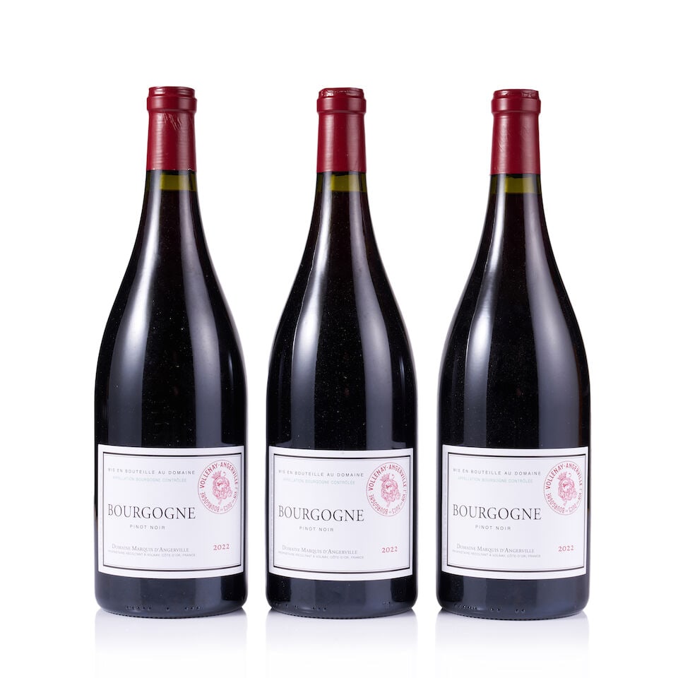 Domaine Marquis d'Angerville, Bourgogne Pinot Noir, 2022 (19 x 750ml & 3 x Magnum) - 7