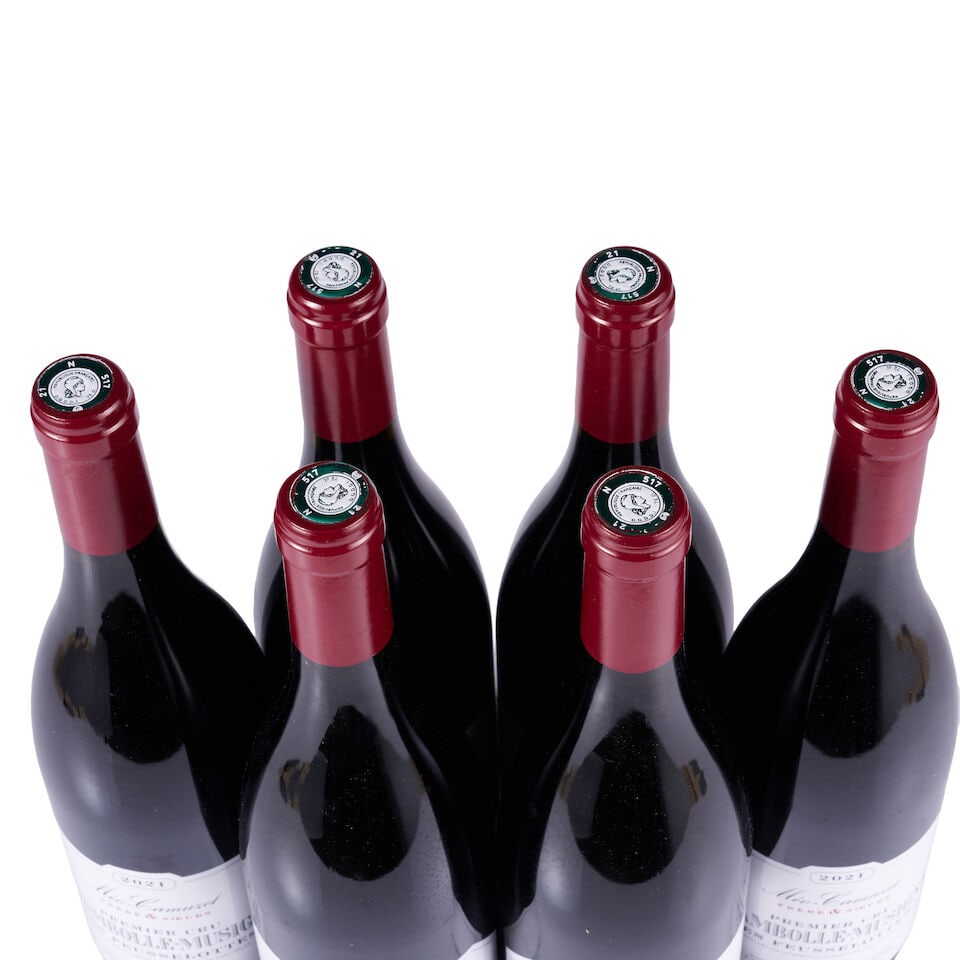 Domaine Méo-Camuzet Frère & Soeurs, Chambolle-Musigny 1er Cru, Les Feusselottes, 2020 ... - 4