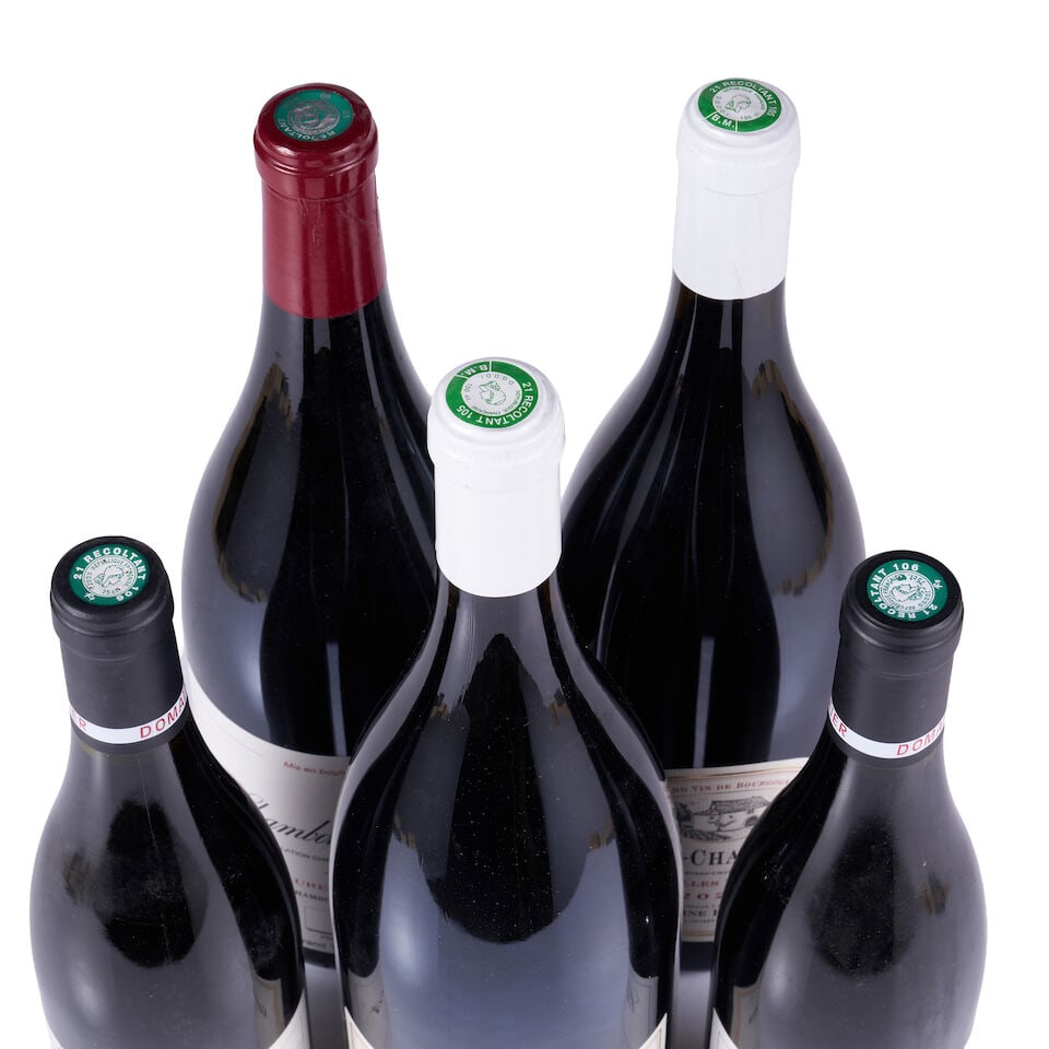 Mixed Lot of Côtes de Nuits, 2012, 2013 & 2021 (2 x 750ml & 3 x Magnum) - 4