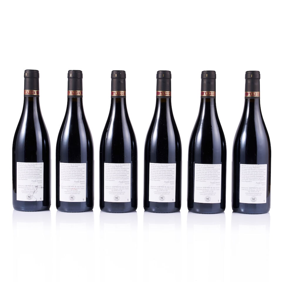 Mixed Lot of Arnoux Père & Fils, 2021 & 2022 (25 x 750ml) - 14