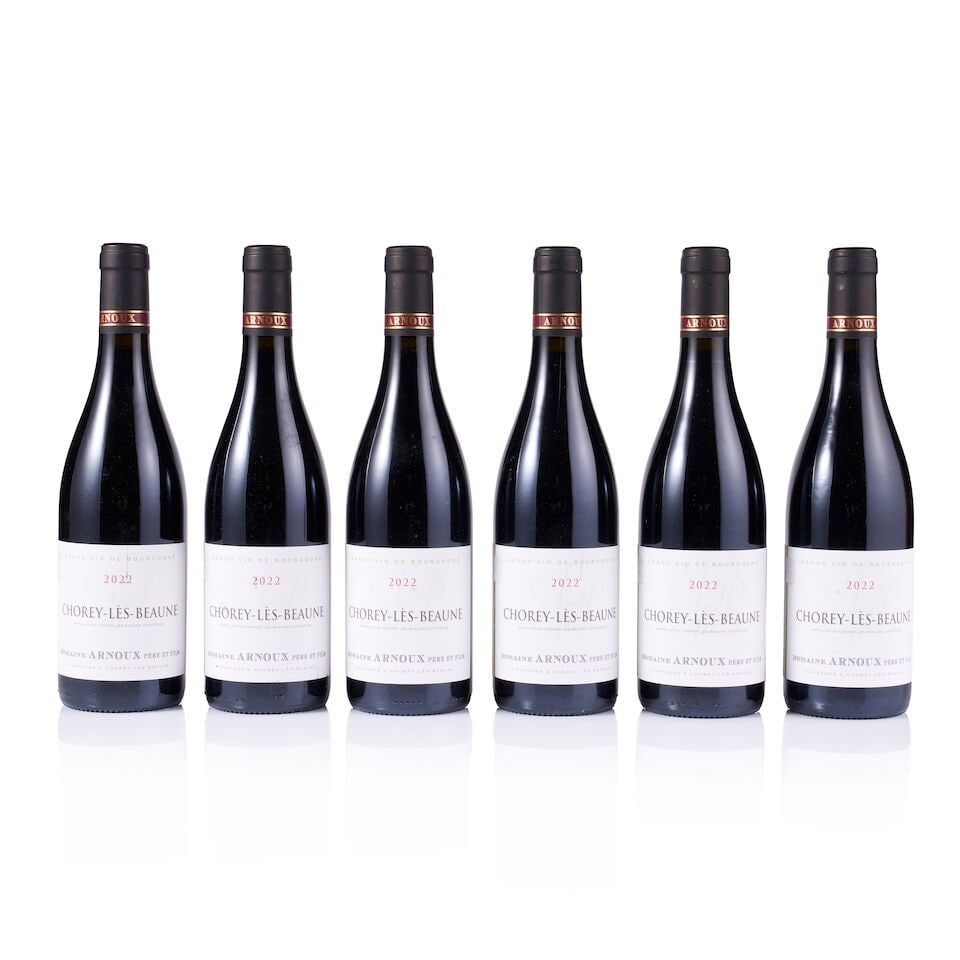Mixed Lot of Arnoux Père & Fils, 2021 & 2022 (25 x 750ml) - 15